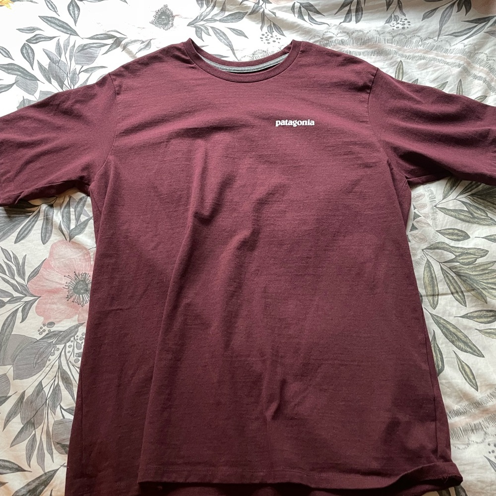 mens patagonia tshirt—SOLD